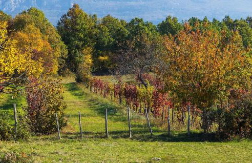 Villa Mendula - Foto 52