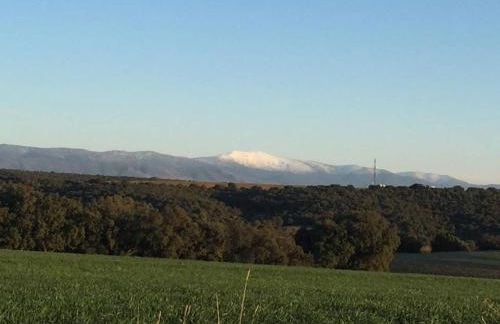 El Carro del Abuelo - Foto 57