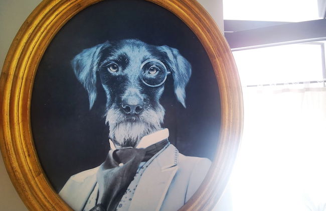 Frutas do Mar apartamento - Foto 9