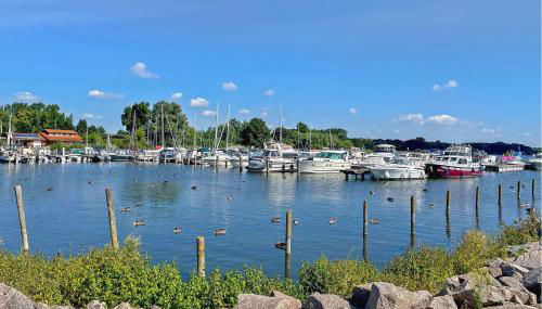 Ferienhaus Klink - Foto 5