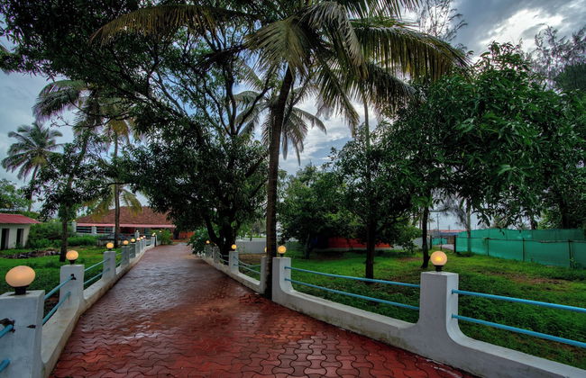 Papilio Beach Front Cottages - Photo 18