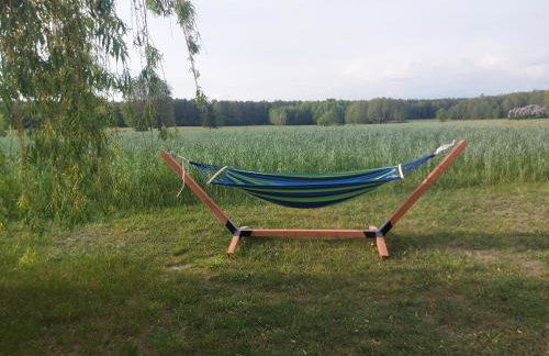 Okno Na Puszczę - Foto 9