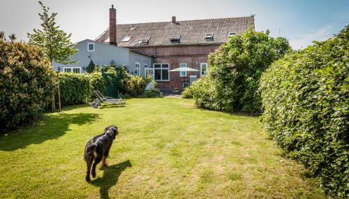 Austernfischer - Foto 4