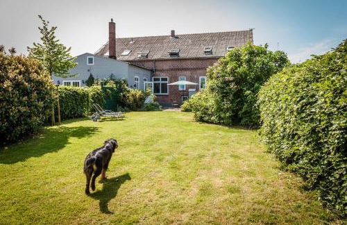 Austernfischer - Foto 4