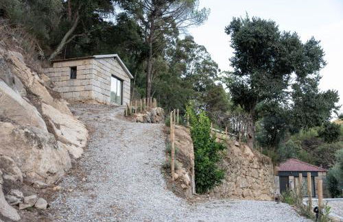 Quinta da Ribeirinha - Douro River - Foto 73