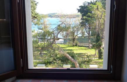 I Fiori nel golfo di Baratti - Foto 13