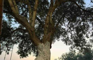 Kali Luxury Apartments -Garden- - Foto 13