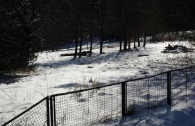 Ferienhaus Peggy - Photo 59