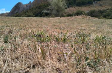 Casa Manuel y Ana María. - Foto 7