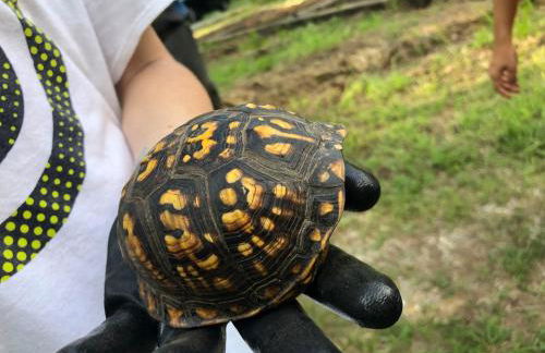 Beautiful Secluded Log Cabin - Foto 31