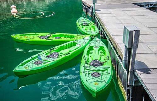 Lakefront Treehouse on Lake Travis Pool & Hot Tub - Foto 36