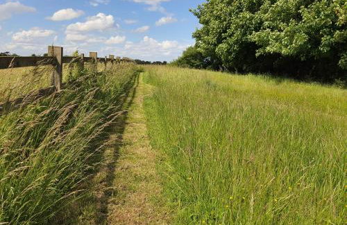 The Orangery - Foto 34