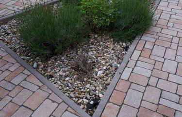 Gemütliche Kleine Wohnung - Photo 23