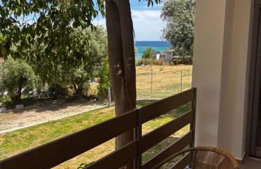 Summer Project Theros - Foto 35