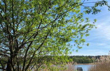 Mazurski Domek nad wodą - Makosieje - Foto 4