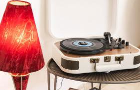 Pâquerette - Foto 9