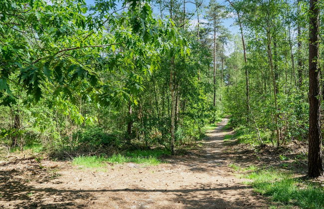 Serene Forest Stay With Comfort - Photo 35