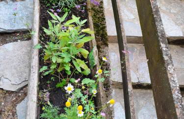 Accogliente Casa con Giardino - Foto 30