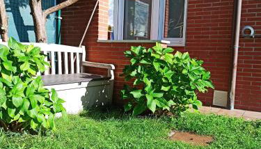 Bajo con jardín privado - Foto 2