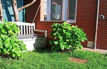 Bajo con jardín privado - Foto 2