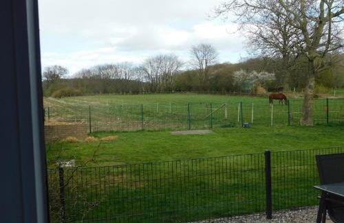 Ferienhaus-Steinburg - Foto 34