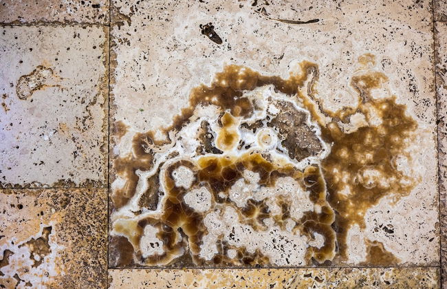 Rancho Haas - Photo 58