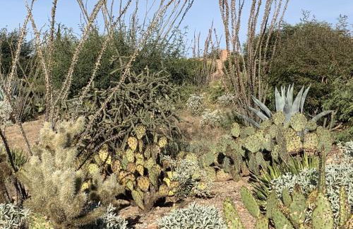 Garden Home with Mountain & Desert Views home - Foto 20