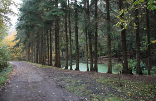 Ferienhaus "Bären Ecke" am See im Bergland - Foto 36