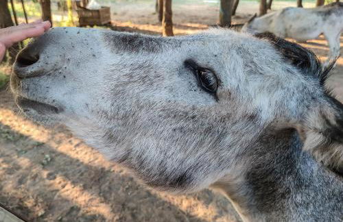 River View ate Terrus Winery - Foto 13