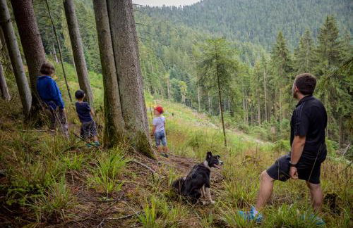 Hansjörgenhof Bioland-Hof - Foto 35