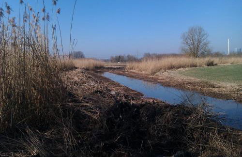 Pure Nature Munich - Amper Meadows/Freising - Foto 51