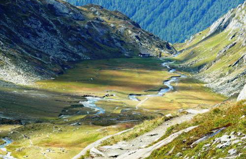 Panorama-Apartments Oberkofl - Photo 56