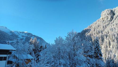 Le Chardon Bleu - Foto 3