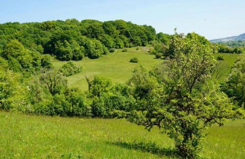 Ferienwohnung Nagel - Foto 21