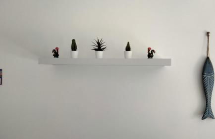 Bela Baia Holiday - Photo 19