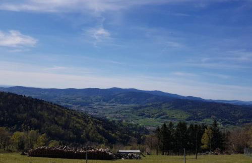 Ferienwohnung 32 im Ferienland Sonnenwald - Bayerischer Wald - Foto 21