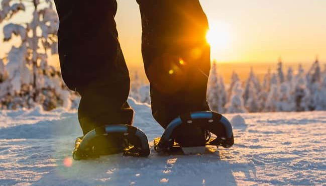 Sirkka Snowshoe Tour - Foto 3