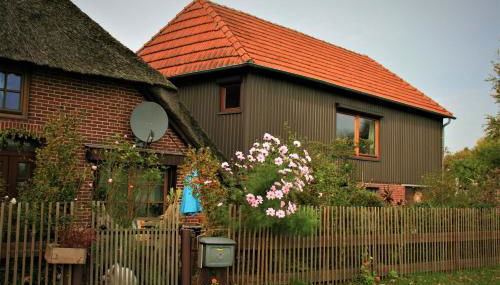 Lüüntjenest - Foto 2