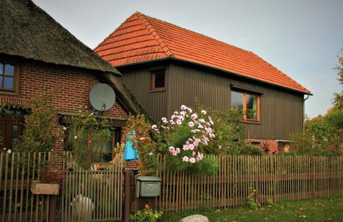 Lüüntjenest - Foto 2