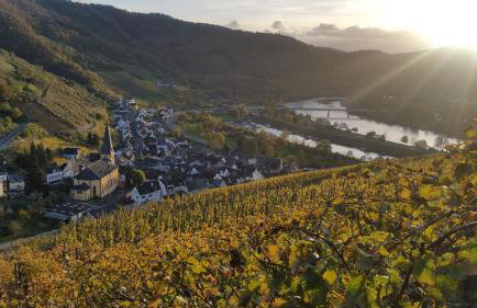 Haus Madle - Foto 27