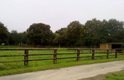 gite des écuries - Photo 10