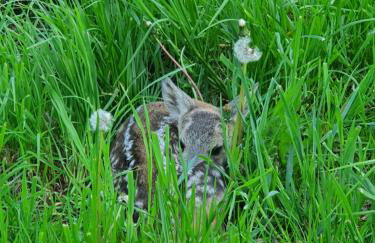 Na Pańskiej Górze - Foto 43