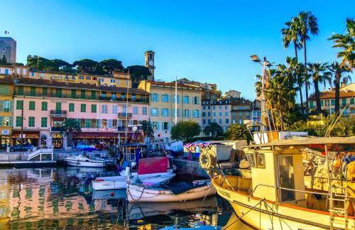 Paradise Cannes Center with Pool and Park VILLA LE LYS - Foto 23