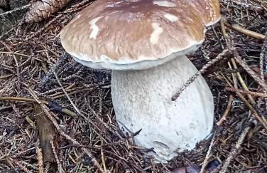 Ca' dei Ferrari - Foto 10