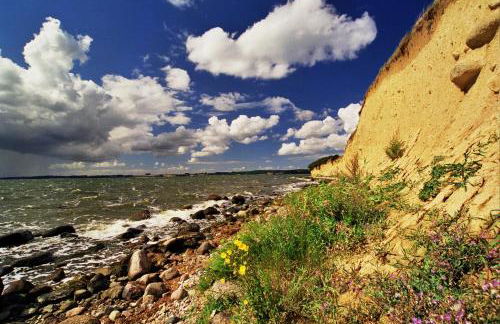 Fewo 1 Mittendrin - Foto 21