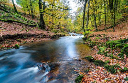 Smiddy Cottage, Historic Village Hub with Spacious Lounge, High Ceilings, and Wood Stove - Foto 20