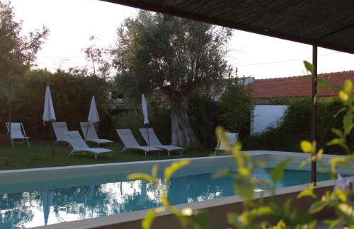 São Brás do Regedouro - Turismo na Aldeia - Foto 23