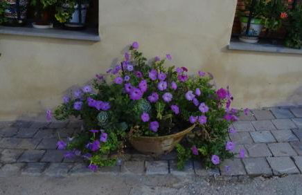 Casa Rural Francisca - Foto 19