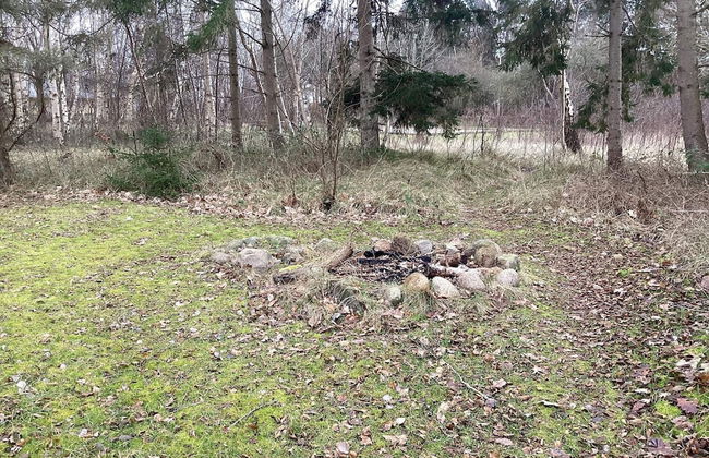 12 Person Holiday Home in Rodby - Foto 23