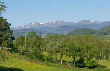 Lodge-Sagne une ferme rénovée au cœur du Cantal à proximité de la station de ski du Lioran - Photo 6